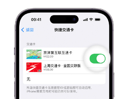 西城apple维修点分享iPhone上更换Apple Pay快捷交通卡手绘卡面 