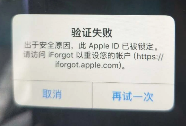 西城iPhone维修分享iPhone上正常登录或使用AppleID怎么办 