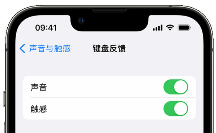 西城苹果手机维修分享iPhone 14触感键盘使用方法 