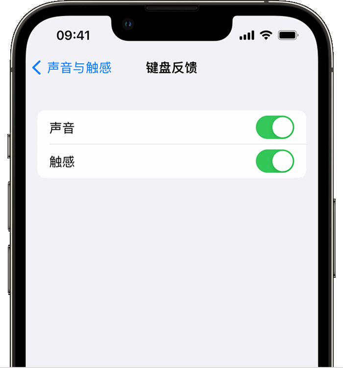 西城苹果14维修店分享如何在 iPhone 14 机型中使用触感键盘 