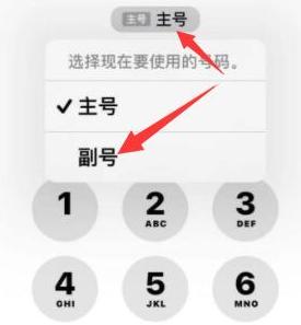 西城苹果14维修店分享iPhone 14 Pro Max使用副卡打电话的方法 