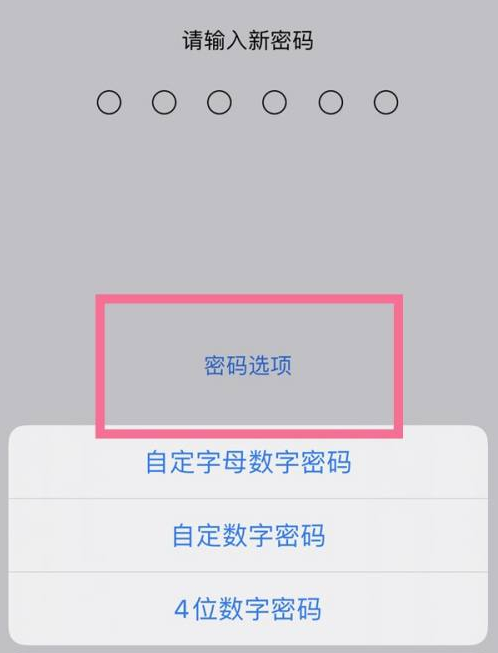 西城苹果14维修分享iPhone 14plus设置密码的方法 