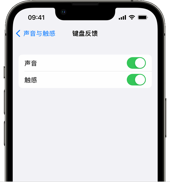 西城苹果14维修分享iPhone 14 系列机型如何开启键盘声音或触感反馈 