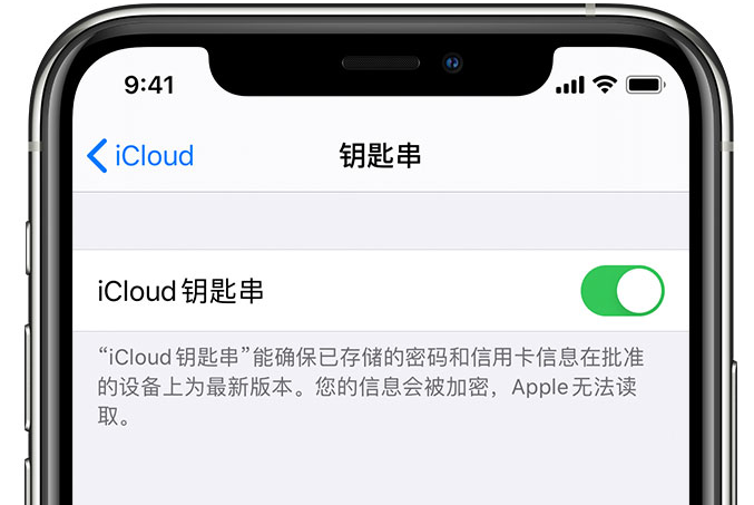 西城苹果手机维修分享在 iPhone 上开启 iCloud 钥匙串之后会储存哪些信息 