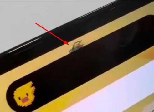 西城苹果14维修分享iPhone 14 Pro Max灵动岛怎么养宠物 