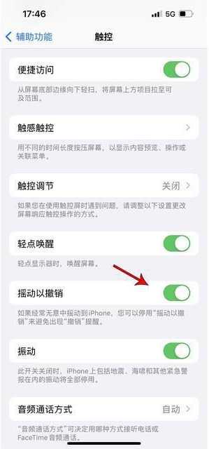 西城苹果手机维修分享iPhone手机如何设置摇一摇删除文字 
