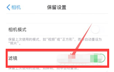 西城苹果13维修分享iPhone13拍照有绿点是怎么回事 