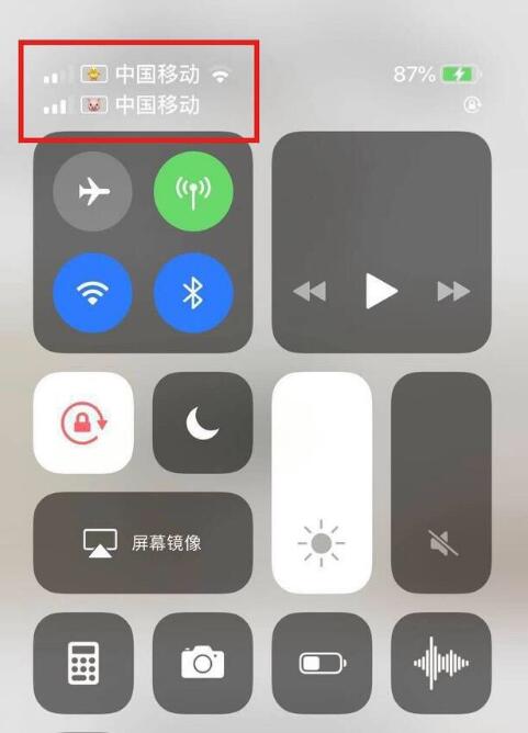 西城苹果手机维修分享为 iPhone 12 双卡设置标签 
